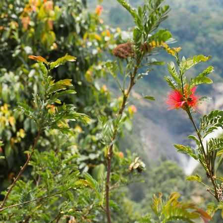 Aranyaka Resorts Munnar Exterior foto