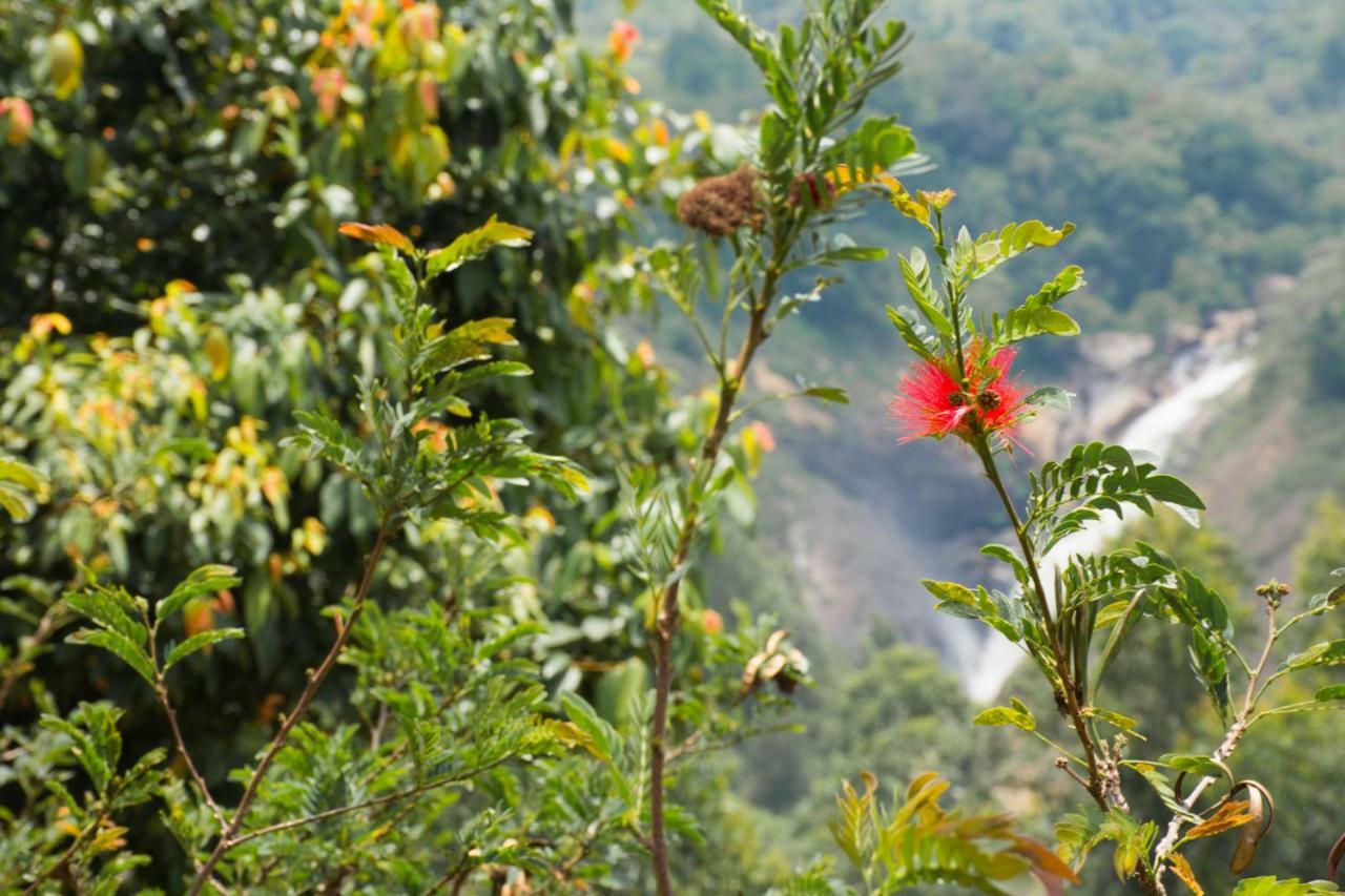 Aranyaka Resorts Munnar Exterior foto