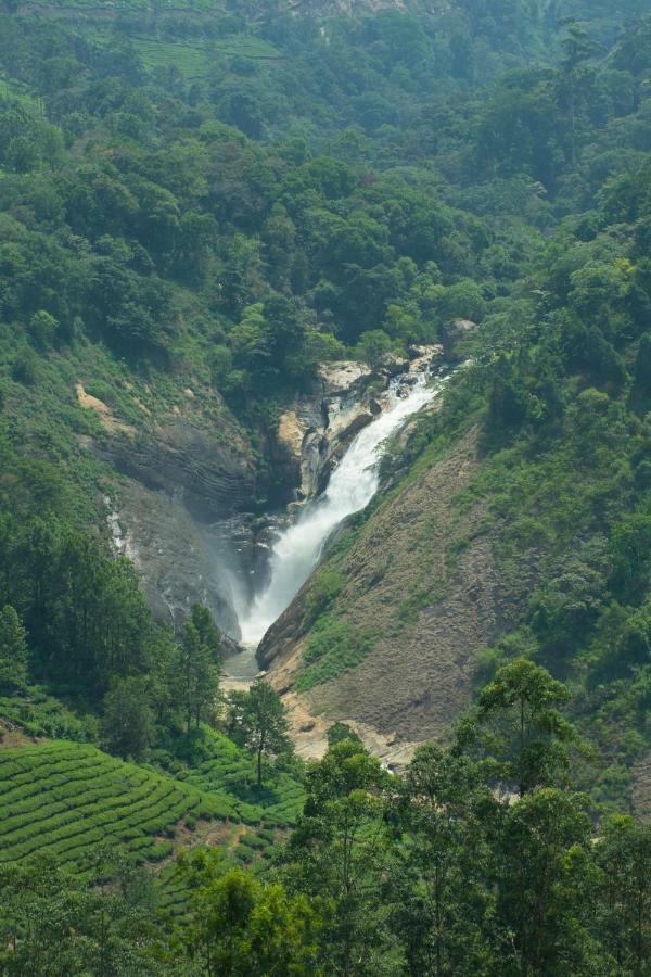 Aranyaka Resorts Munnar Exterior foto